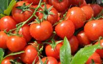 女人养颜防辐射 防辐射食物大搜罗