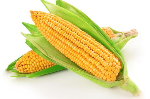 7类人吃玉米等于“自杀”