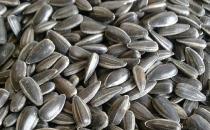 吃巧克力可以释压 10大零食轻松抗压