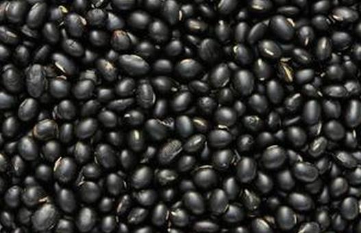 黑豆的功效与作用及食用方法