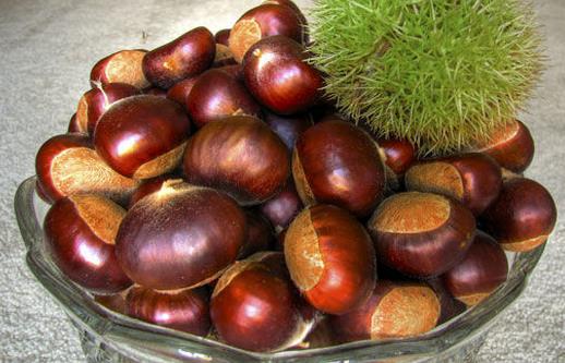 女性经期吃什么食物好?