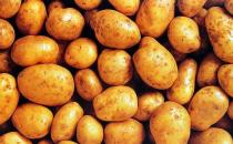 睡前吃什么不发胖？10女人最爱睡前食物推荐