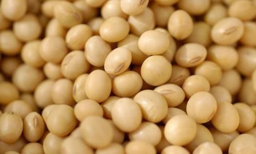 吃什么对乳房好？保护乳房的9种食物推荐