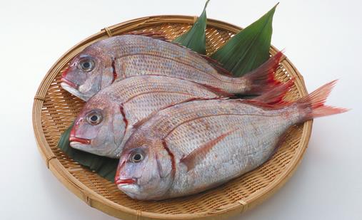 鱼类的5大功效你知道吗?