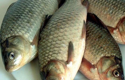 孩子吃这11种食物必定聪明