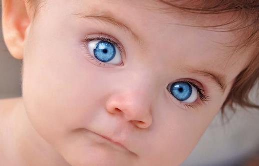 宝宝多吃10种食物预防眼疾