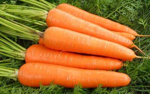 教你胡萝卜的健康吃法 吃得更营养