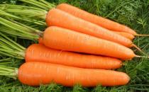 教你胡萝卜的健康吃法 吃得更营养
