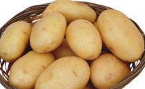 红薯发芽后可引起中毒 三种食物发芽勿食用
