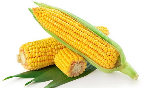 老人多吃八种食品不得血栓 凉白开是老年黄金饮品