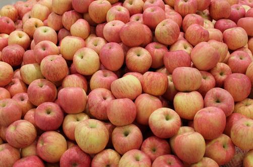 孕妇吃什么能促进胎儿大脑发育?