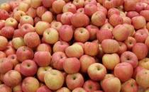 孕妇吃什么能促进胎儿大脑发育？