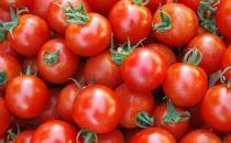 减肥瘦身吃什么好 让你瘦下来的7种食物