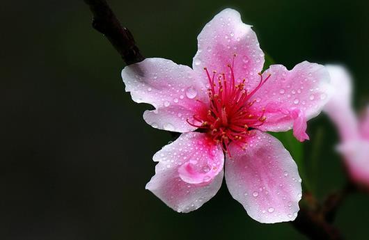 祛斑秘方，拯救斑点脸蛋