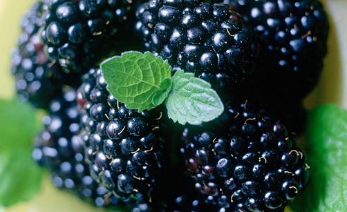 女性吃这6种食物缓解衰老