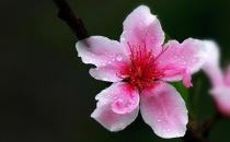 祛斑秘方，拯救斑点脸蛋