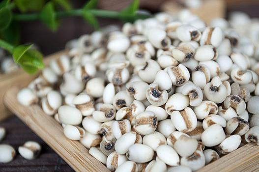 薏仁的功效与作用 薏仁能祛痘吗