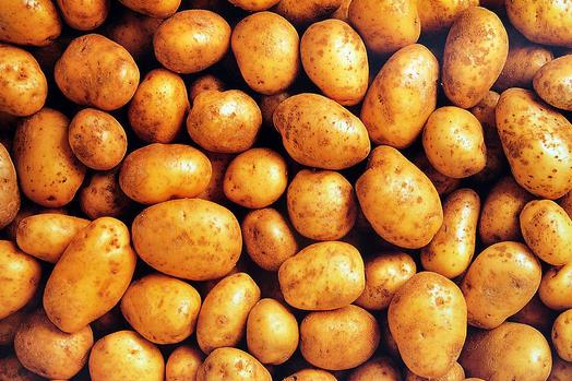 女人祛斑离不开的小妙招