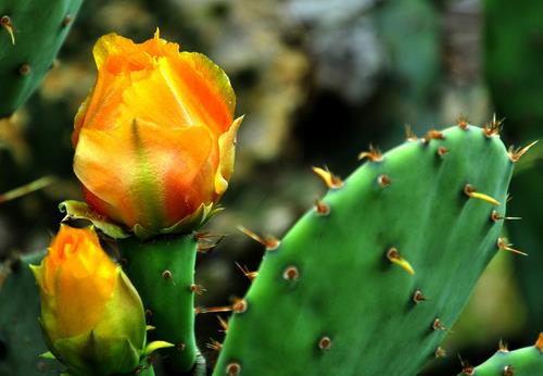 爱美女性须知：祛痘新方法