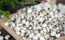 薏仁的功效与作用 薏仁能祛痘吗