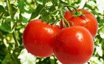 四道食品让你成为祛斑高手