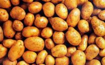 女人祛斑离不开的小妙招