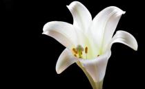 祛斑食谱大推荐 吃对食物巧祛色斑