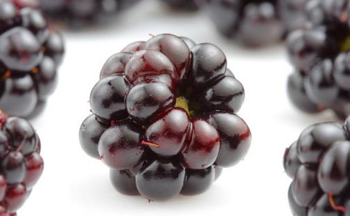 桑葚有什么功效?盘点桑葚的营养与功效