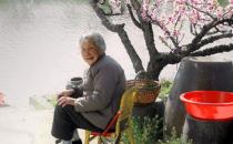 老子活到160岁的长寿秘方