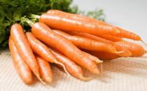 胡萝卜要适量食用 教你胡萝卜的健康吃法