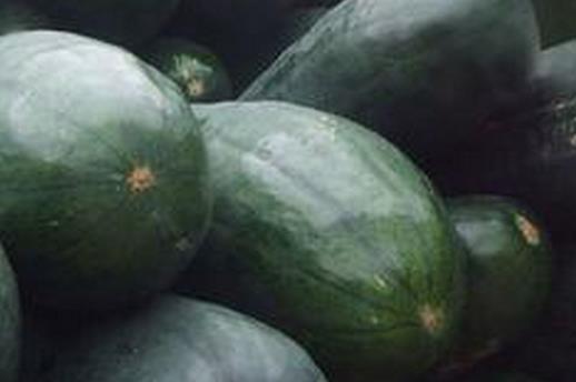 春季吃什么祛火？六种春季祛火食物推荐