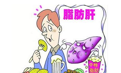 脂肪肝饮食治疗法