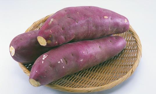 食谱御膳常识美食-360美食网潮宫廷笋揭阳图片