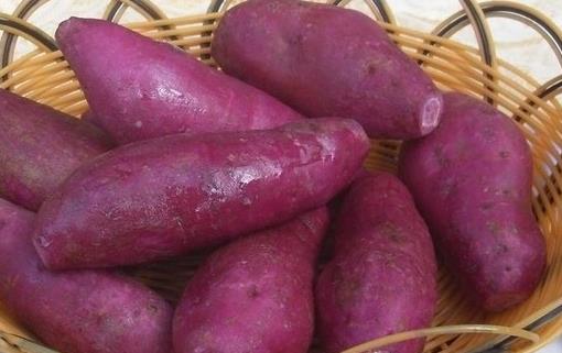 中医食疗调理脾虚