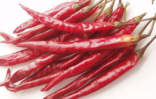 不同地区感冒食疗