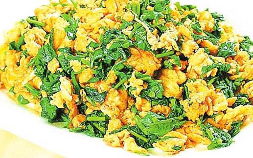 3大鱼腥草食疗方