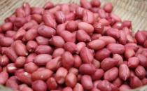 2款卵巢保养食疗