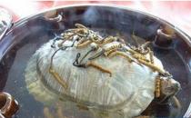 女人六道补血菜