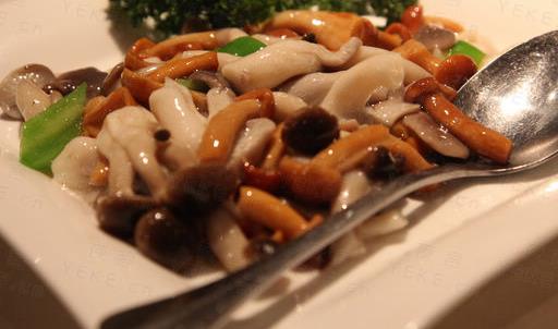 素食真的能让人长寿吗?