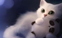 猫粮的选购技巧 给猫咪吃什么最好？