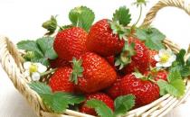 草莓治咳养生食疗