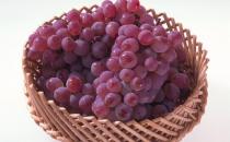 几种产后补血食材不容小觑