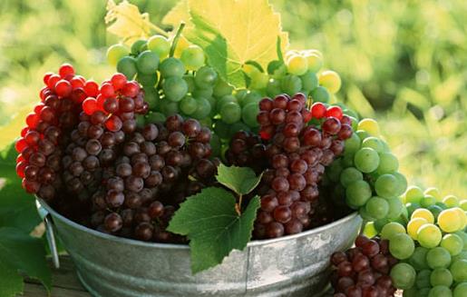 果蔬皮健康食疗法