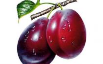 排肠毒治便秘7方