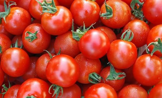 番茄可以美白祛斑 番茄的6大功效盘点-360常识