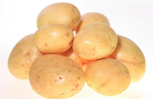 土豆能调整虚弱的体质 能蒸着吃最理想
