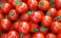 番茄可以美白祛斑 番茄的6大功效盘点