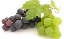 葡萄的食用功效盘点 如何挑选好的葡萄？