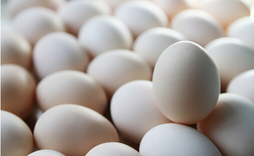 早上吃鸡蛋营养丰富 避免四大误区是关键
