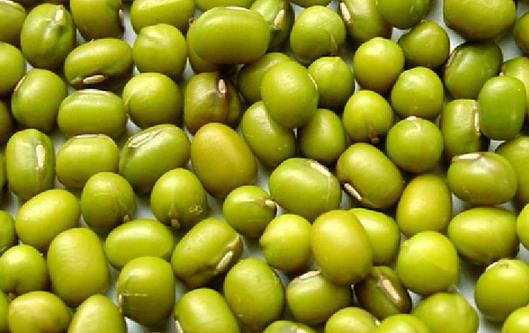 吃什么可以降血脂?高血脂患者饮食大全